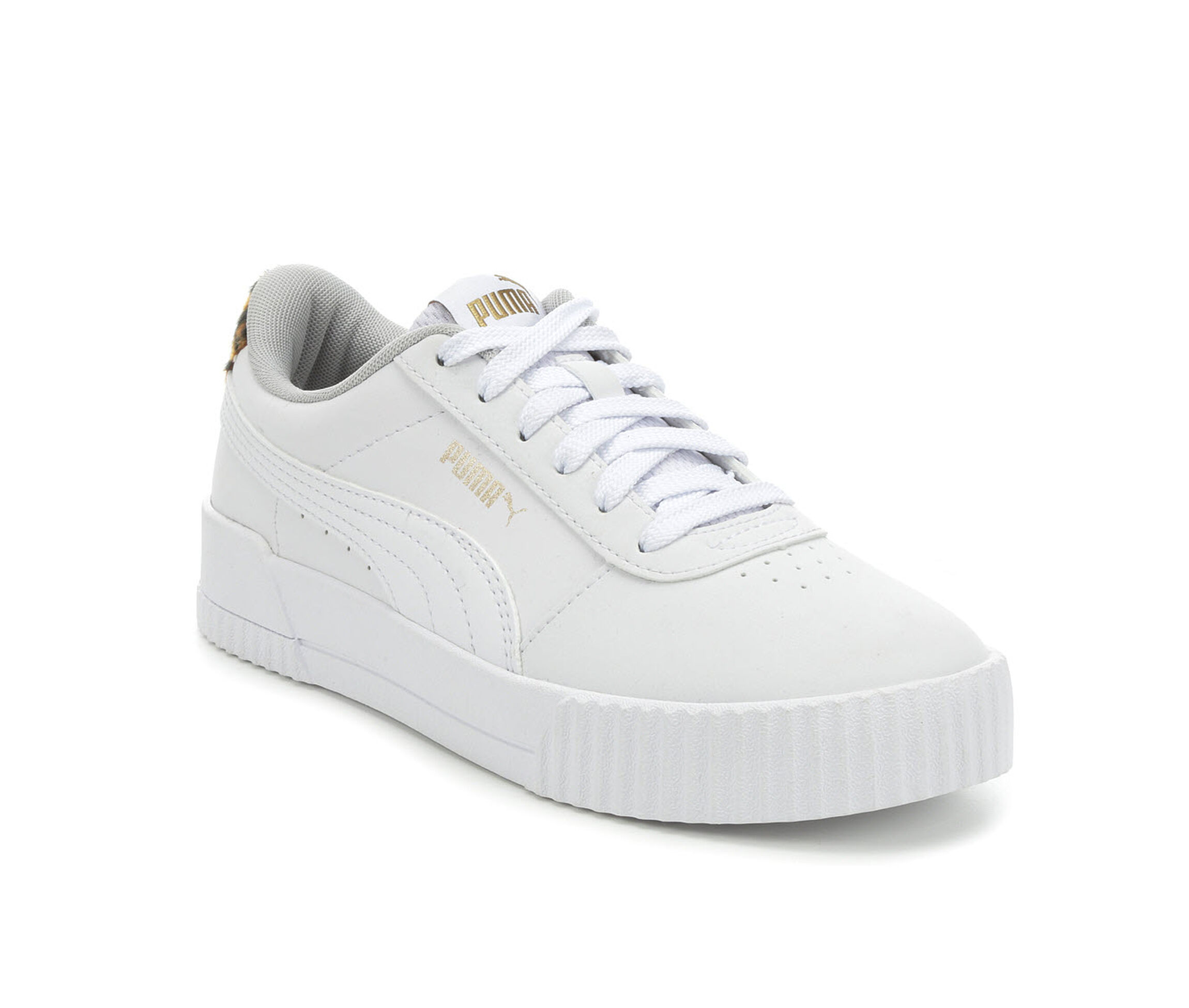 puma carina leopard