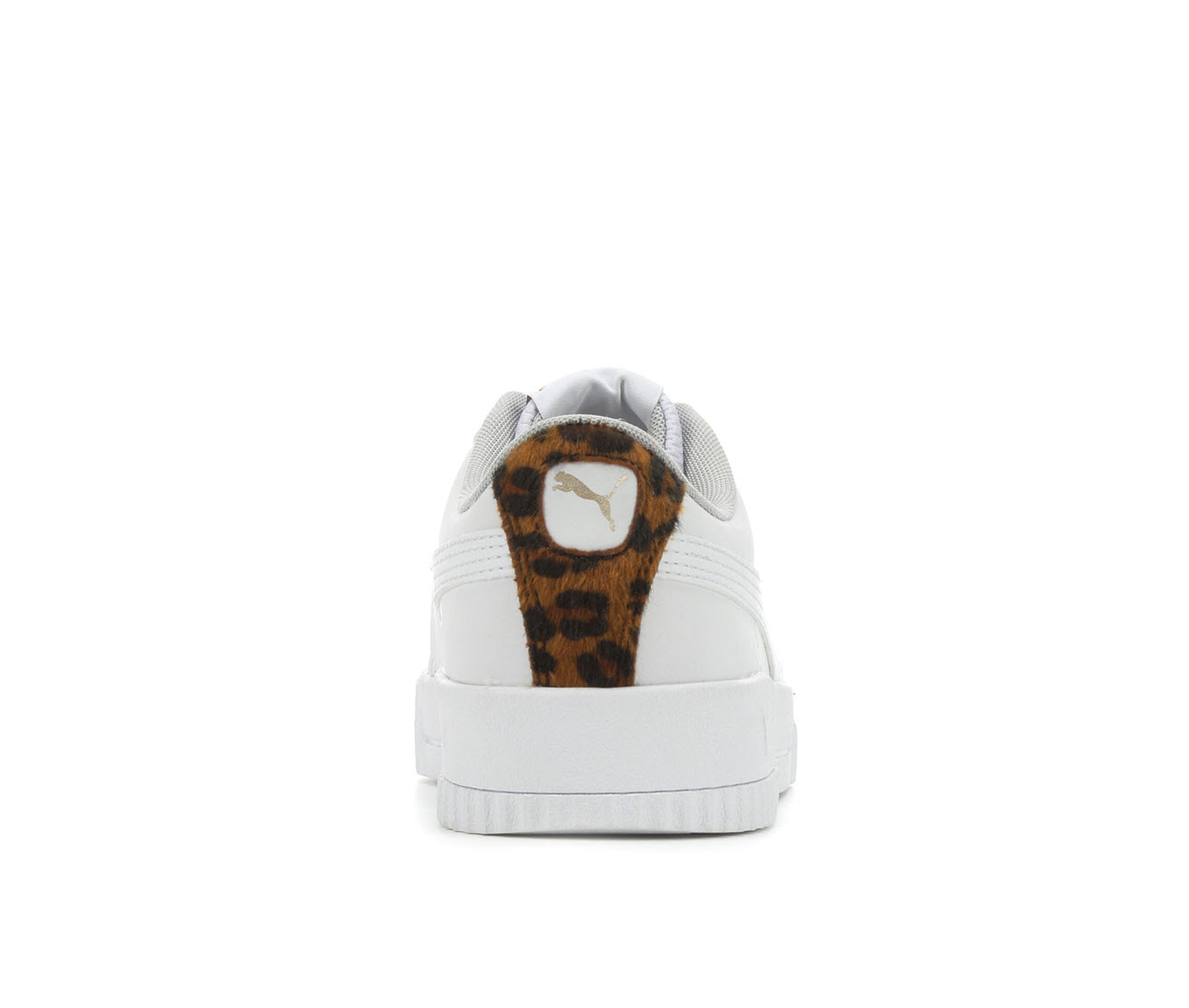 puma carina leopard