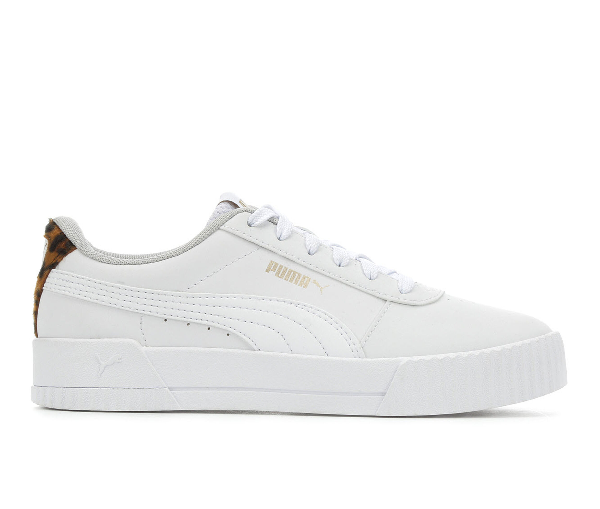 puma carina leopard