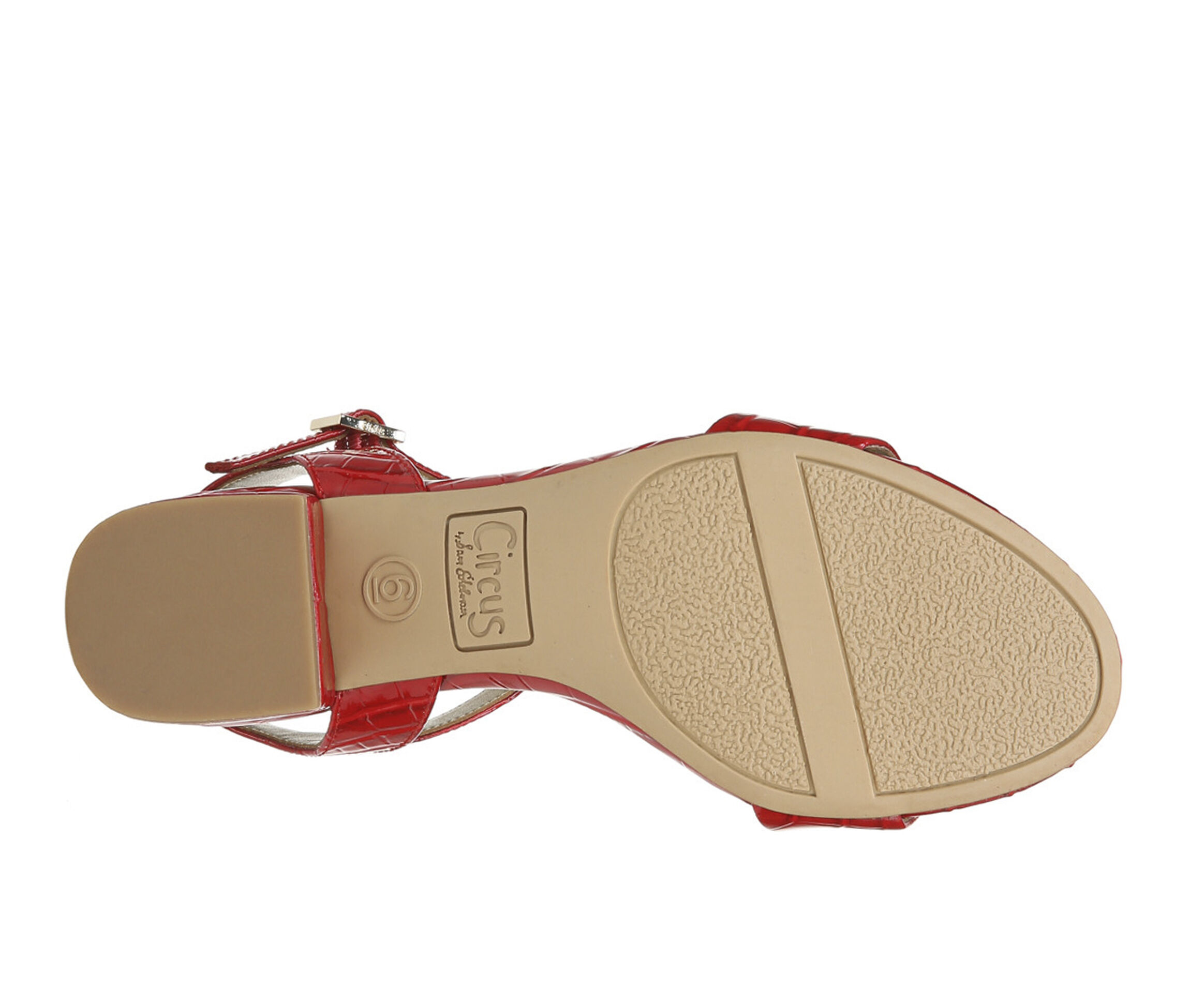 circus by sam edelman ibis dress sandals